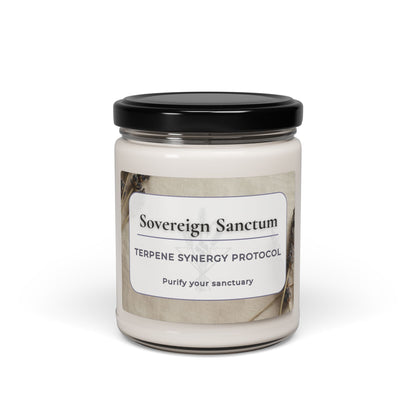 Atmospheric Anchors | The Somatic Sanctuary Candle Collection