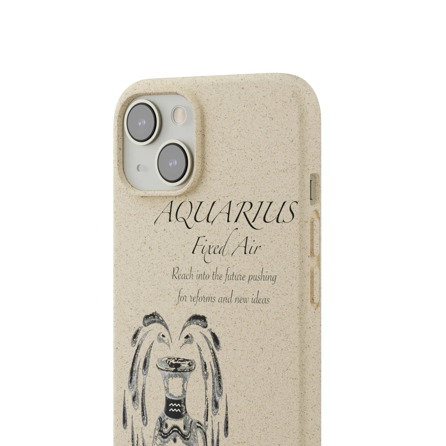 Aquarius Zodiac Biodegradable Phone Case Printify