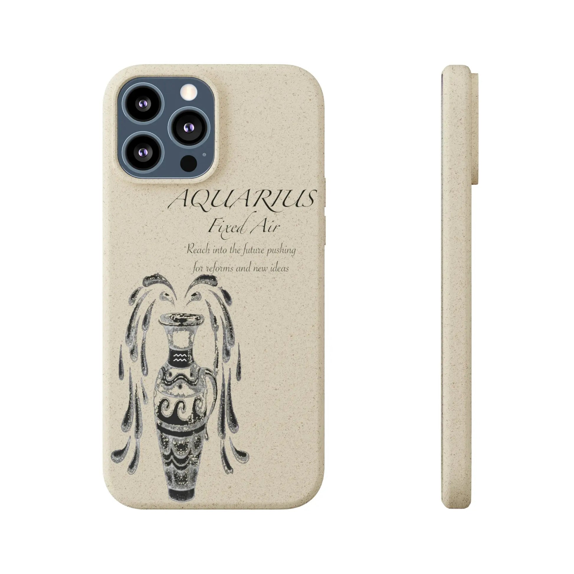 Aquarius Zodiac Biodegradable Phone Case Printify