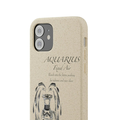 Aquarius Zodiac Biodegradable Phone Case Printify