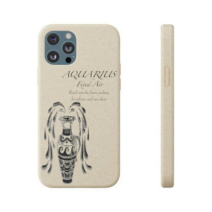 Aquarius Zodiac Biodegradable Phone Case Printify