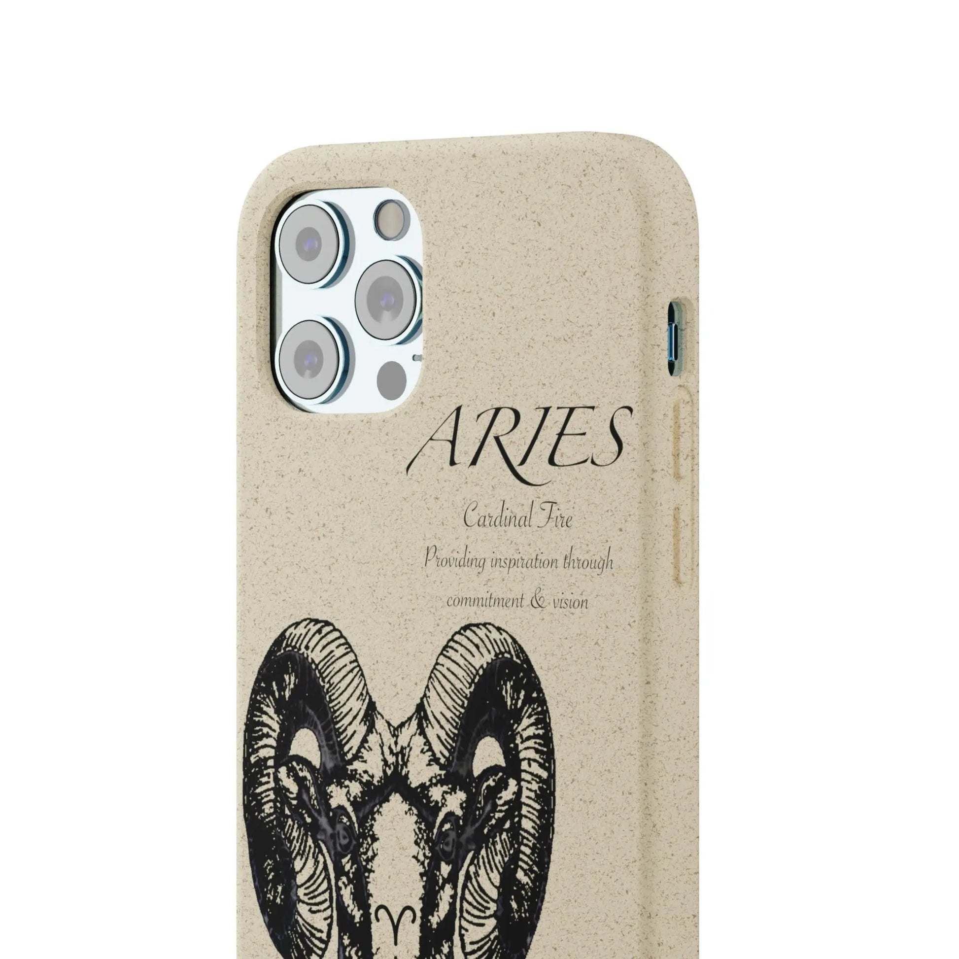 Aries Zodiac Biodegradable Phone Case Printify